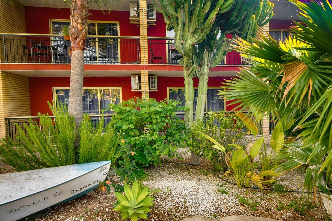 بينايدورم Apartamentos Palasiet المظهر الخارجي الصورة